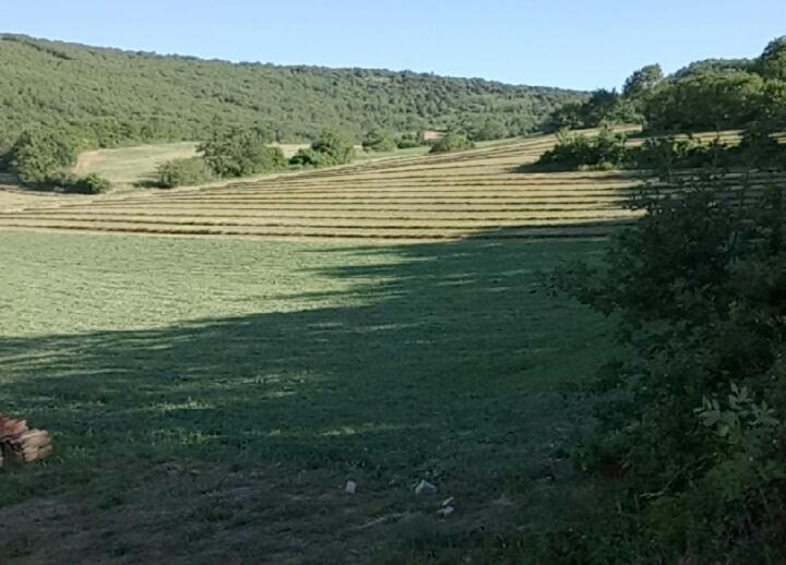 Appartamento Maison Jaune Villemus Esterno foto